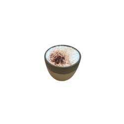 Capuccino + leche vegetal