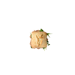 Pulga de atún y aguacate
