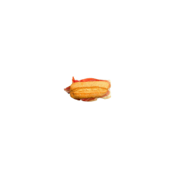 Sin Gluten Jamón Serrano